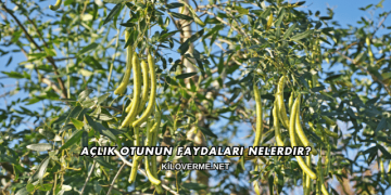 Açlık Otunun Faydaları Nelerdir?