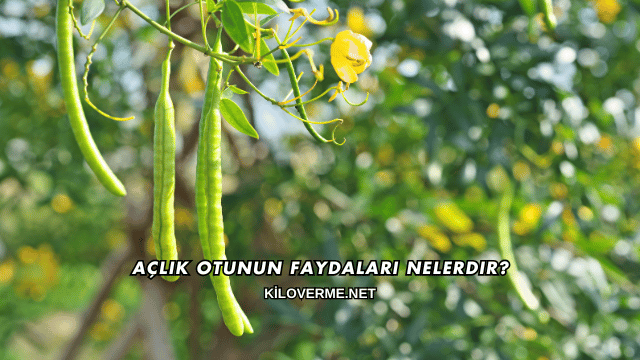 Açlık Otunun Faydaları Nelerdir?