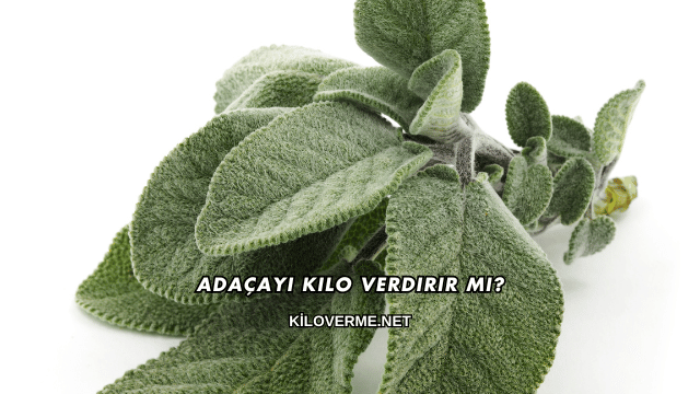 Adaçayı Kilo Verdirir mi?