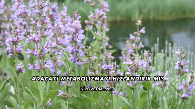 Adaçayı Metabolizmayı Hızlandırır mı?