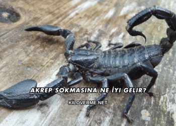 Akrep Sokmasına Ne İyi Gelir?