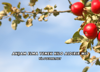 Akşam Elma Yemek Kilo Aldırır mı?