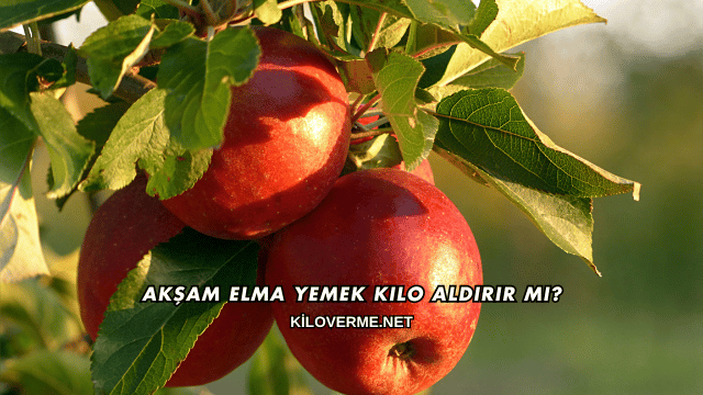 Akşam Elma Yemek Kilo Aldırır mı?