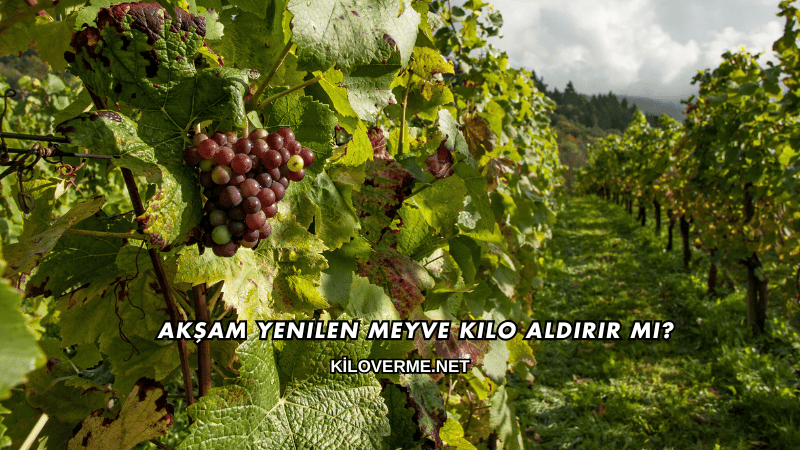 Akşam Yenilen Meyve Kilo Aldırır mı?
