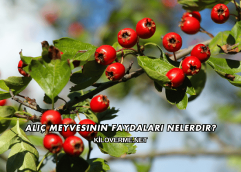Alıç Meyvesinin Faydaları Nelerdir?