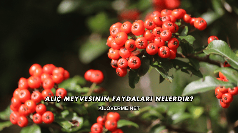 Alıç Meyvesinin Faydaları Nelerdir?