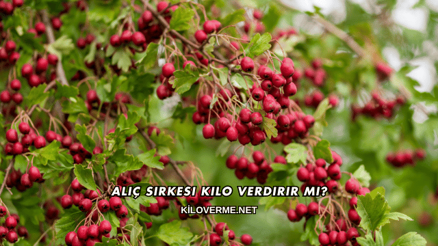Alıç Sirkesi Kilo Verdirir mi?