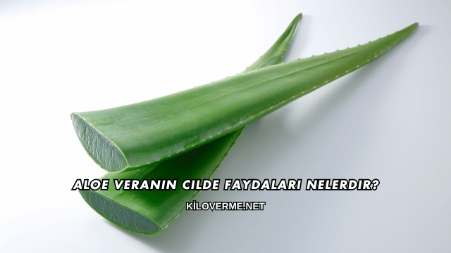 Aloe Veranın Cilde Faydaları Nelerdir?