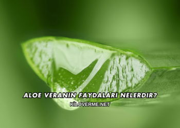 Aloe Veranın Faydaları Nelerdir?