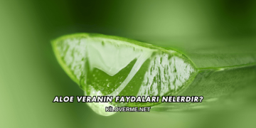 Aloe Veranın Faydaları Nelerdir?