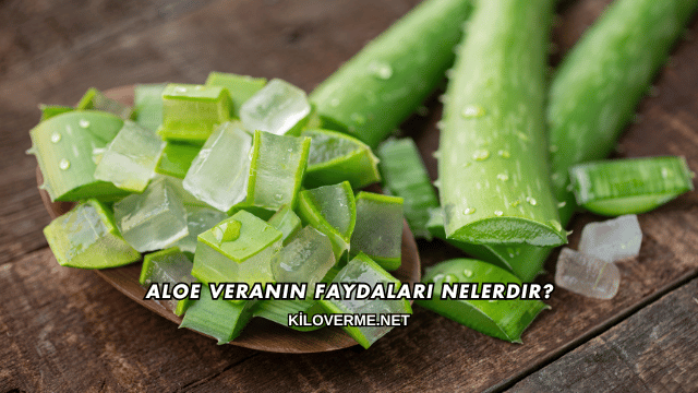 Aloe Veranın Faydaları Nelerdir?
