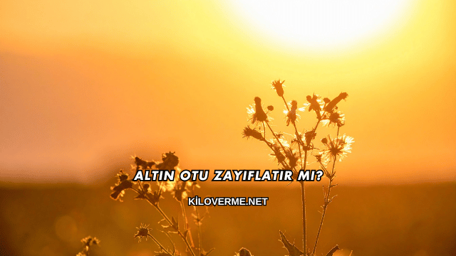 Altın Otu Zayıflatır mı?