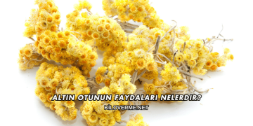 Altın Otunun Faydaları Nelerdir?