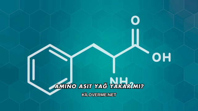 Amino Asit Yağ Yakar mı?
