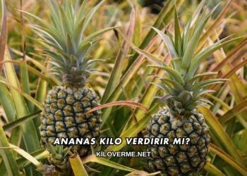 Ananas Kilo Verdirir mi?