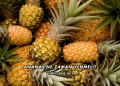 Ananas Ne Zaman Yenmeli?