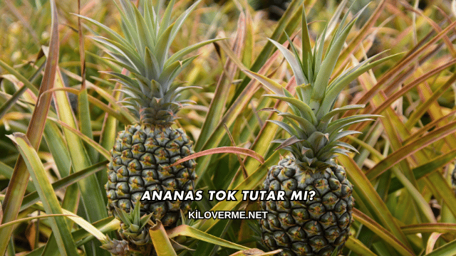 Ananas Tok Tutar mı?