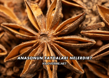 Anasonun Faydaları Nelerdir?