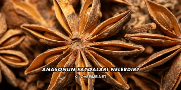 Anasonun Faydaları Nelerdir?