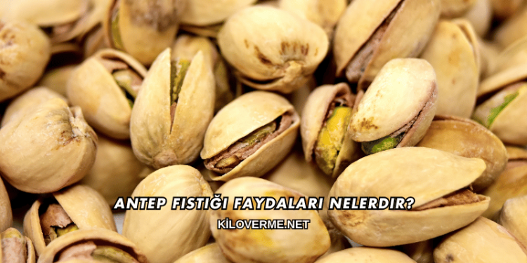 Antep Fıstığı Faydaları Nelerdir?