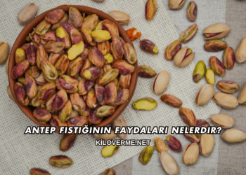 Antep Fıstığının Faydaları Nelerdir?
