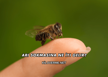 Arı Sokmasına Ne İyi Gelir?