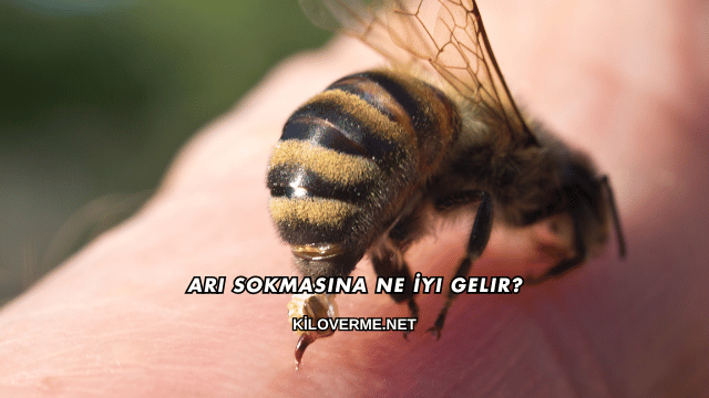 Arı Sokmasına Ne İyi Gelir?