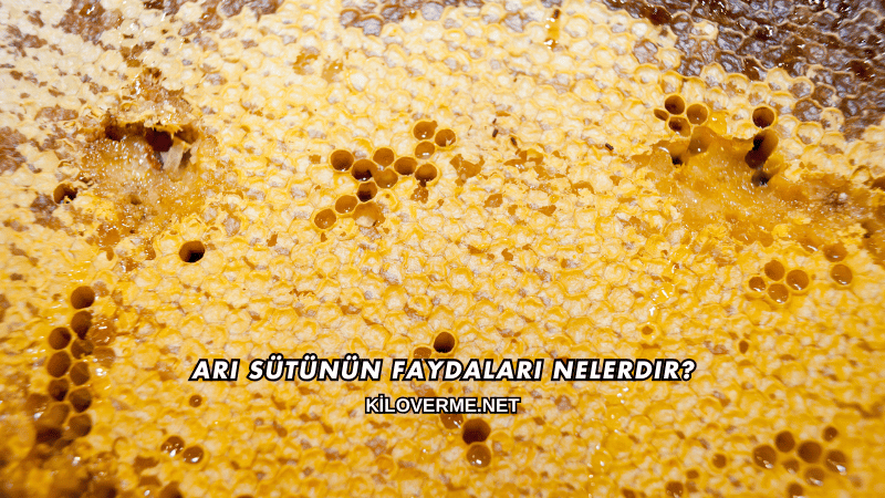 Arı Sütünün Faydaları Nelerdir?