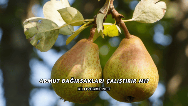 Armut Bağırsakları Çalıştırır mı?