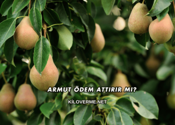 Armut Ödem Attırır mı?