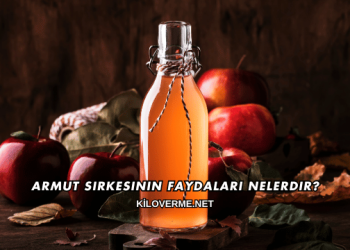 Armut Sirkesinin Faydaları Nelerdir?