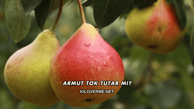Armut Tok Tutar mı?