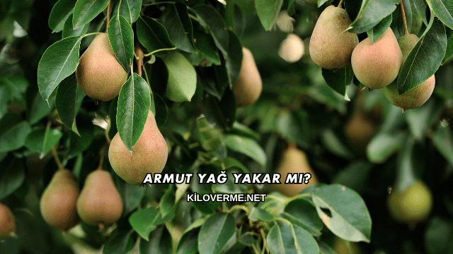 Armut Yağ Yakar mı?
