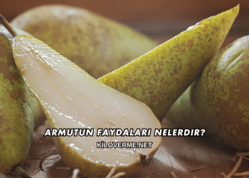 Armutun Faydaları Nelerdir?