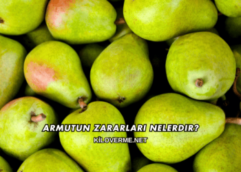 Armutun Zararları Nelerdir?