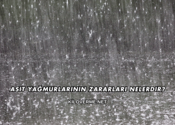 Asit Yağmurlarının Zararları Nelerdir?