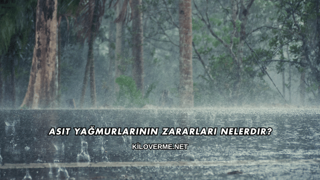 Asit Yağmurlarının Zararları Nelerdir?