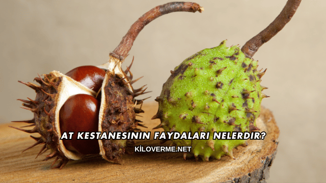 At Kestanesinin Faydaları Nelerdir?