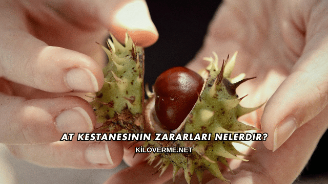 At Kestanesinin Zararları Nelerdir?