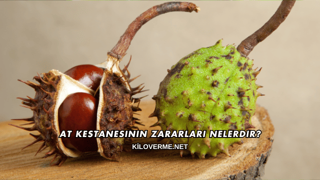 At Kestanesinin Zararları Nelerdir?