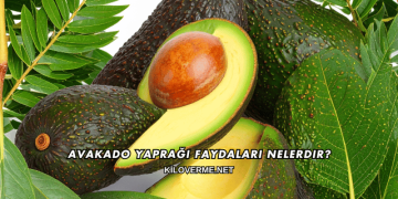 Avakado Yaprağı Faydaları Nelerdir?