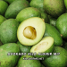 Avokado Kilo Aldırır mı?