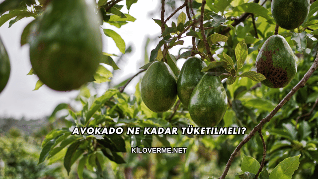 Avokado Ne Kadar Tüketilmeli?