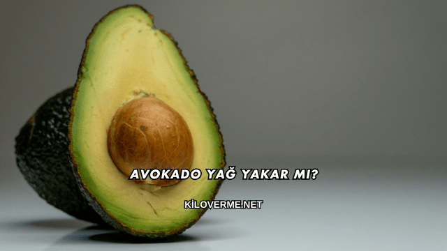 Avokado Yağ Yakar mı?