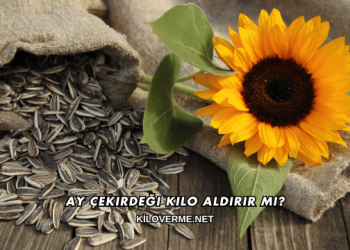 Ay Çekirdeği Kilo Aldırır mı?