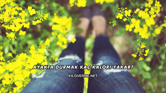 Ayakta Durmak Kaç Kalori Yakar?