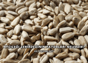 Ayçiçeği Çekirdeğinin Faydaları Nelerdir?