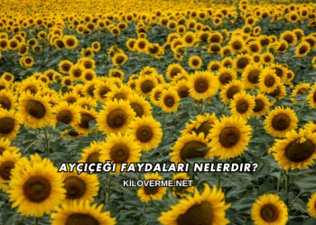 Ayçiçeği Faydaları Nelerdir?