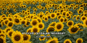 Ayçiçeği Faydaları Nelerdir?