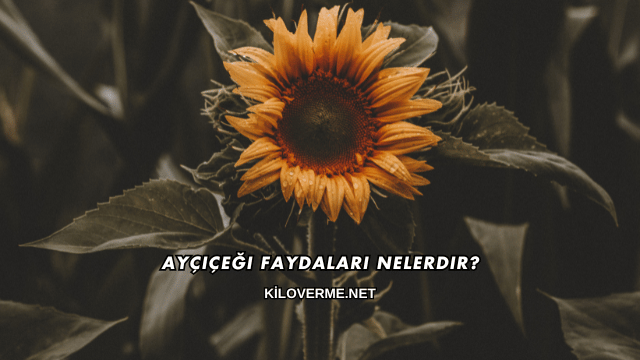 Ayçiçeği Faydaları Nelerdir?